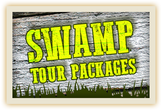 Swamp_a