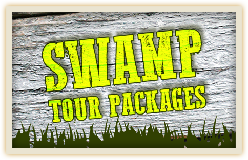 Swamp Tour