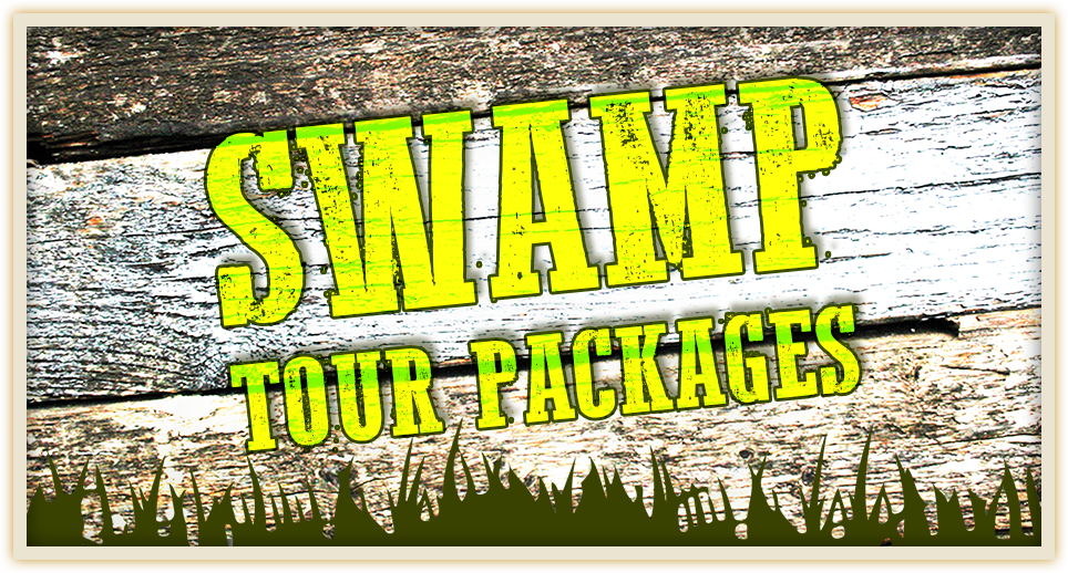 Swamp Tour